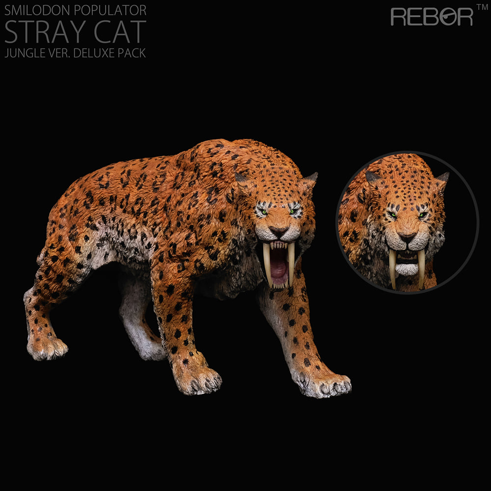 [리보/REBOR] 스미로돈 Stray Cat (스트레이 캣) - YEAR OF THE TIGER / ICE AGE / JUNGLE